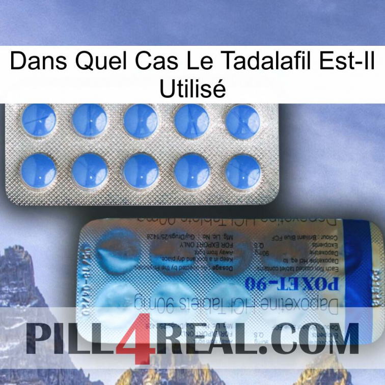 Dans Quel Cas Le Tadalafil Est-Il Utilisé 40